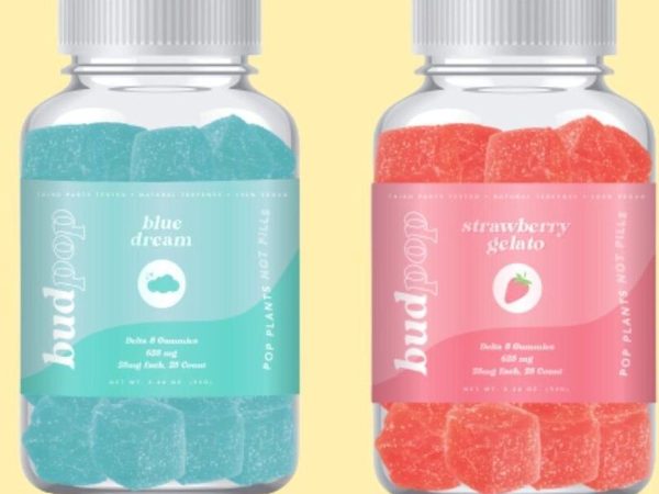 CBD Gummies