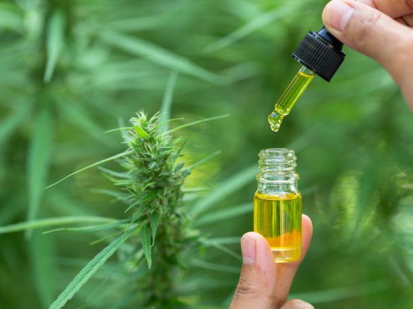 Understand How does CBD Oil work