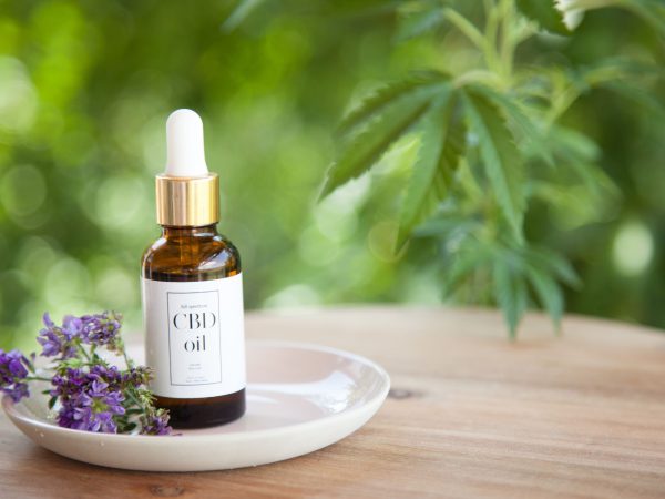 Quality CBD Oils for pain relief