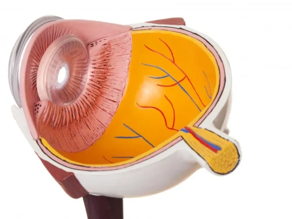 central serous chorioretinopathy treatment